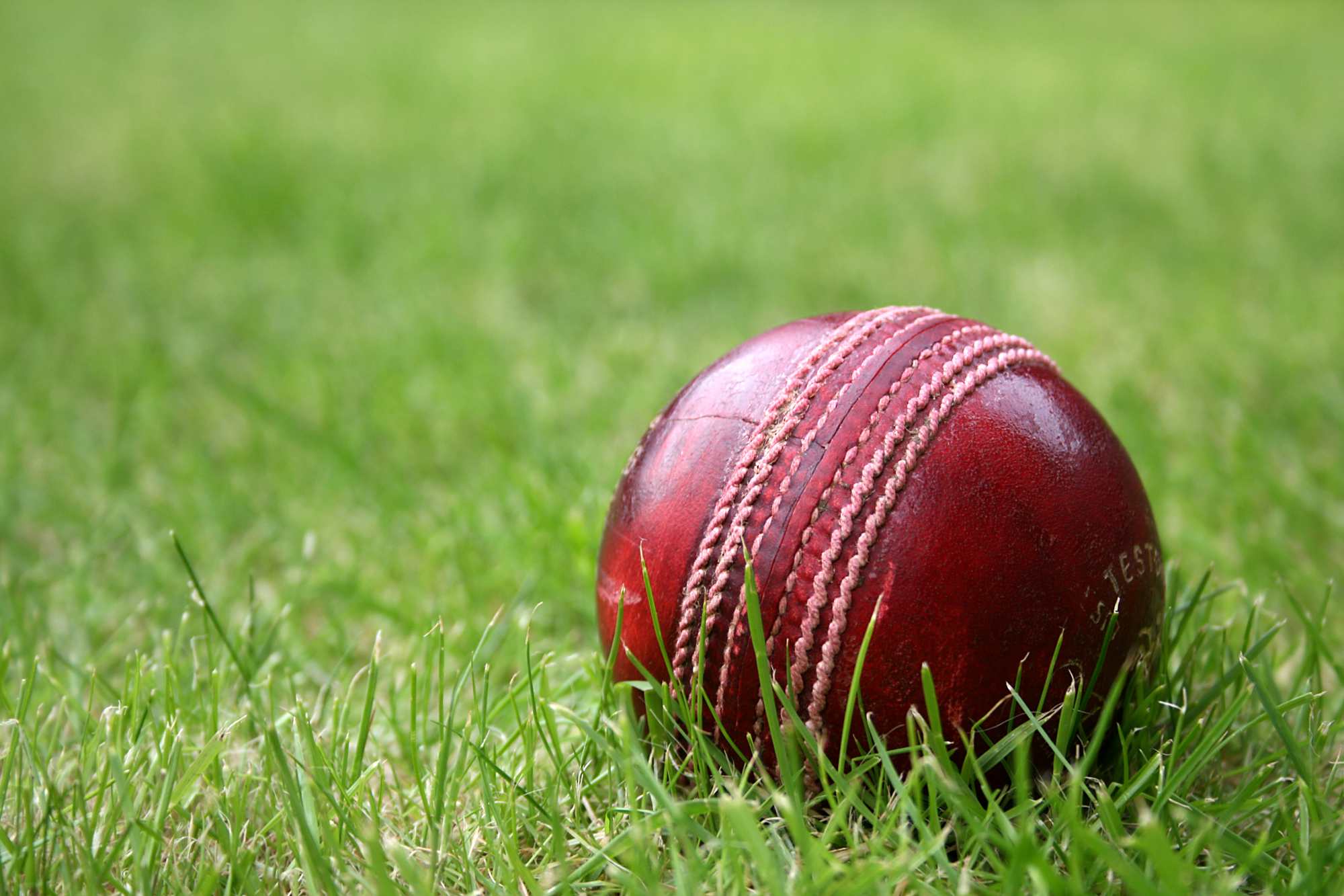 cricket-ball-grass-2 cricket-ball-grass-2