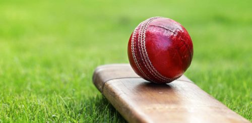 Cricket ball resting on a cricket bat on green grass of cricket pitch
